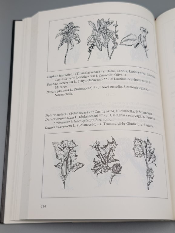 Flora Sicula. Dizionario Trilingue Illustrato