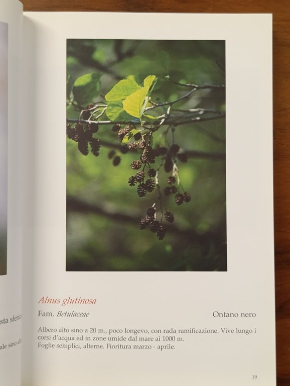Flora spontanea nella provincia di Imperia dal litorale alla zona … | Immagine Gallery 7