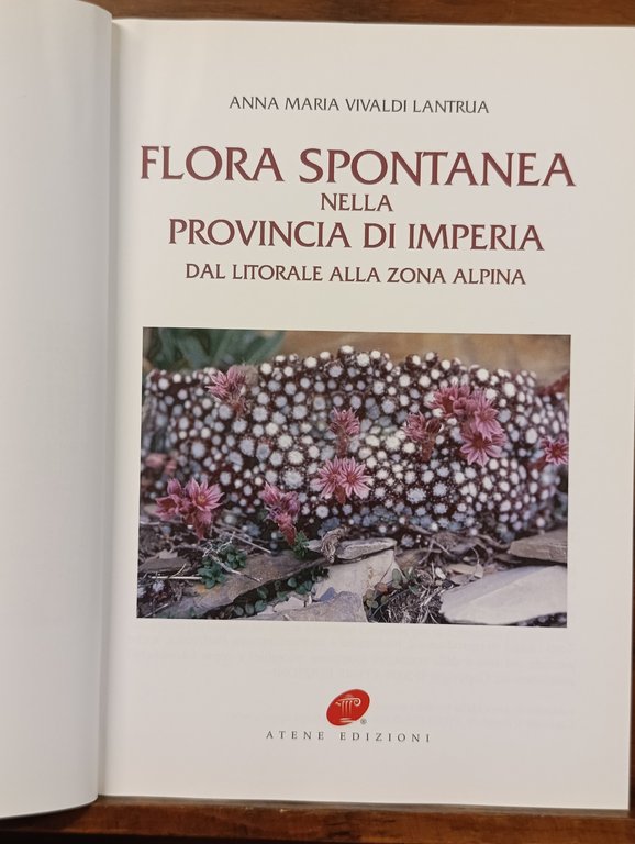 Flora spontanea nella provincia di Imperia dal litorale alla zona … | Immagine Gallery 9