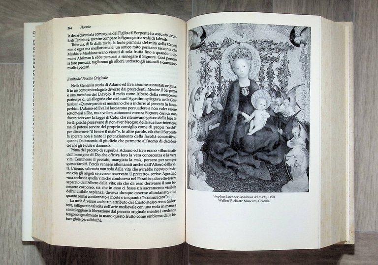 Florario Libro Cattabiani Miti Leggende Simboli Fiori Piante Prima Edizione …