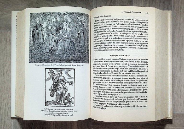Florario Libro Cattabiani Miti Leggende Simboli Fiori Piante Prima Edizione …