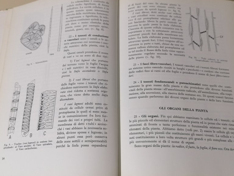 Floricoltura Industriale Libro Stefano Bensa Edizioni Agricole Prima Edizione 66