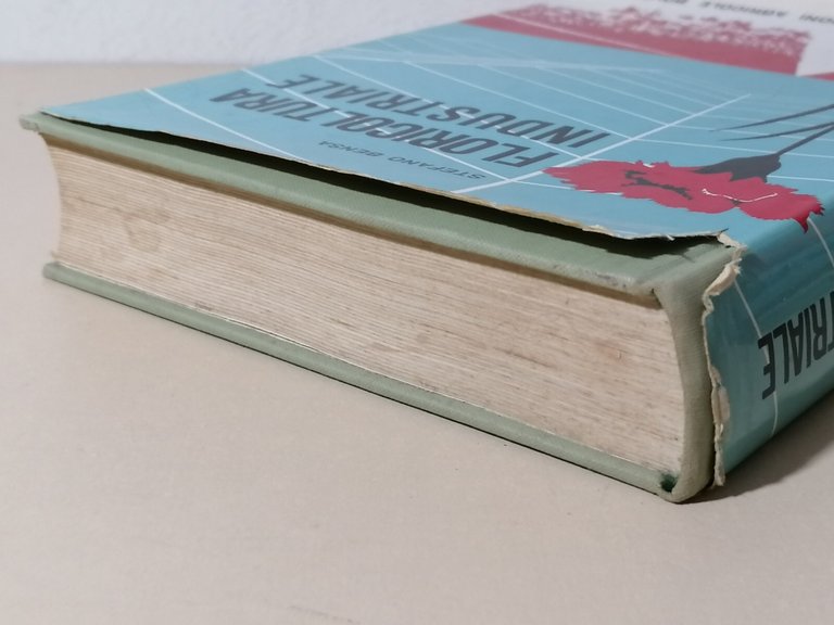 Floricoltura Industriale Libro Stefano Bensa Edizioni Agricole Prima Edizione 66