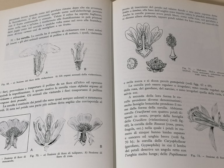 Floricoltura Industriale Libro Stefano Bensa Edizioni Agricole Prima Edizione 66