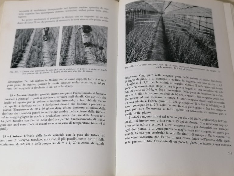 Floricoltura Industriale Libro Stefano Bensa Edizioni Agricole Prima Edizione 66