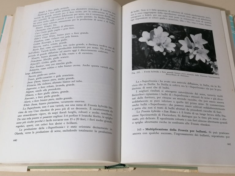 Floricoltura Industriale Libro Stefano Bensa Edizioni Agricole Prima Edizione 66