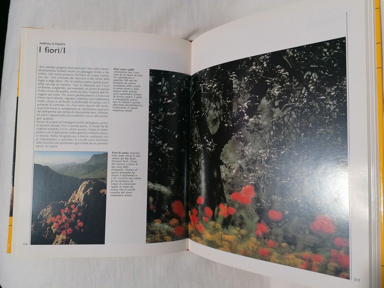 Fotografia Arte e Tecnica Manuale Kodak Libro Curcio Nudo Ritratto …
