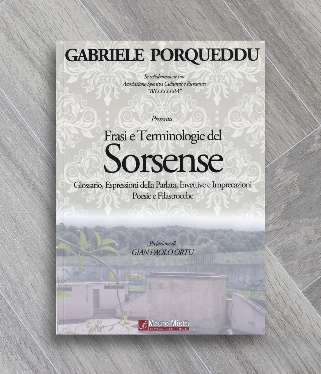 Frasi e terminologie del sorsense. Ediz. multilingue