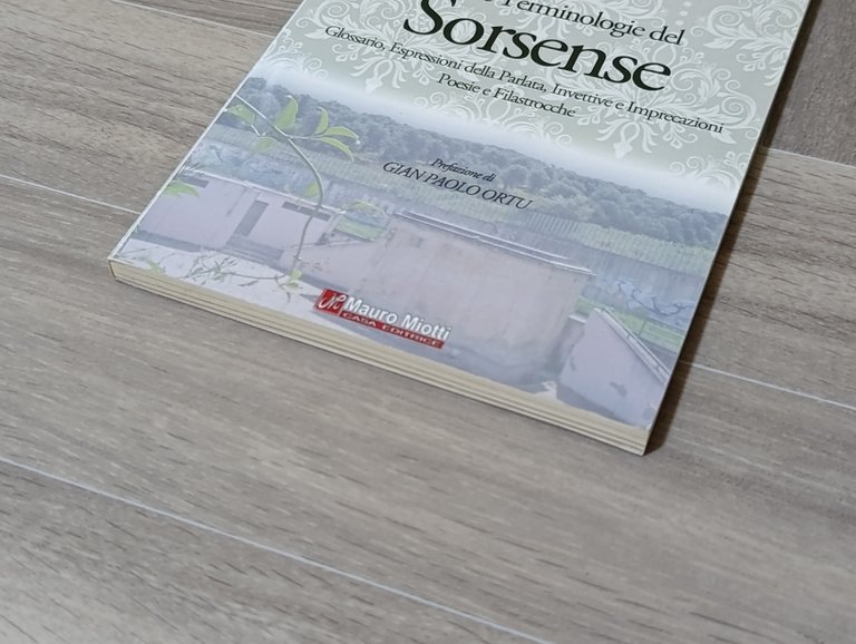 Frasi e terminologie del sorsense. Ediz. multilingue