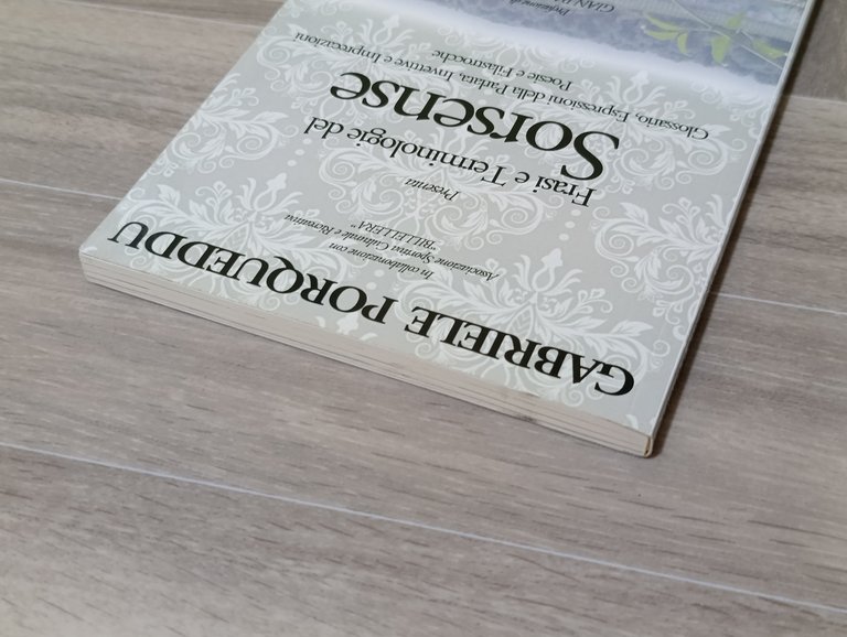 Frasi e terminologie del sorsense. Ediz. multilingue