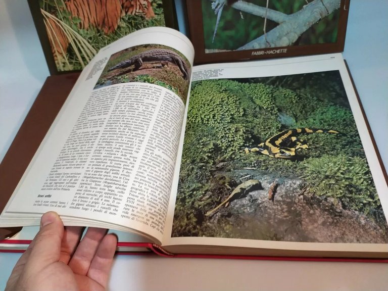 FREDERICK GRANDE ENCICLOPEDIA DEL REGNO ANIMALE COMPLETO 4 VOLUMI FABBRI …