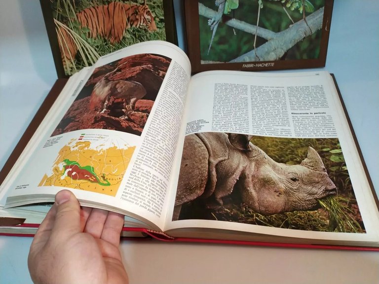 FREDERICK GRANDE ENCICLOPEDIA DEL REGNO ANIMALE COMPLETO 4 VOLUMI FABBRI …