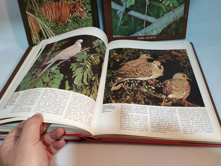 FREDERICK GRANDE ENCICLOPEDIA DEL REGNO ANIMALE COMPLETO 4 VOLUMI FABBRI …