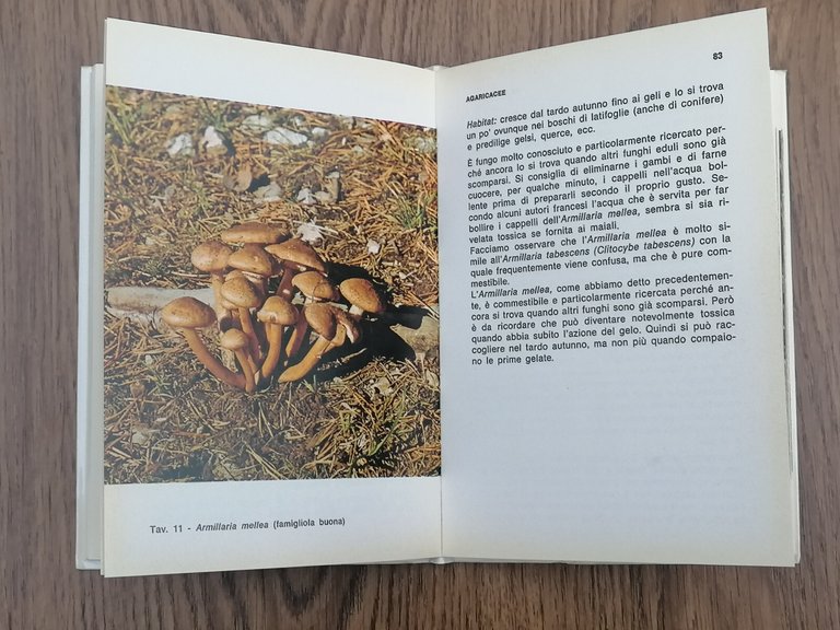 Funghi Eduli e Velenosi Come Distinguerli Ricette Libro Sportelli Hoepli …