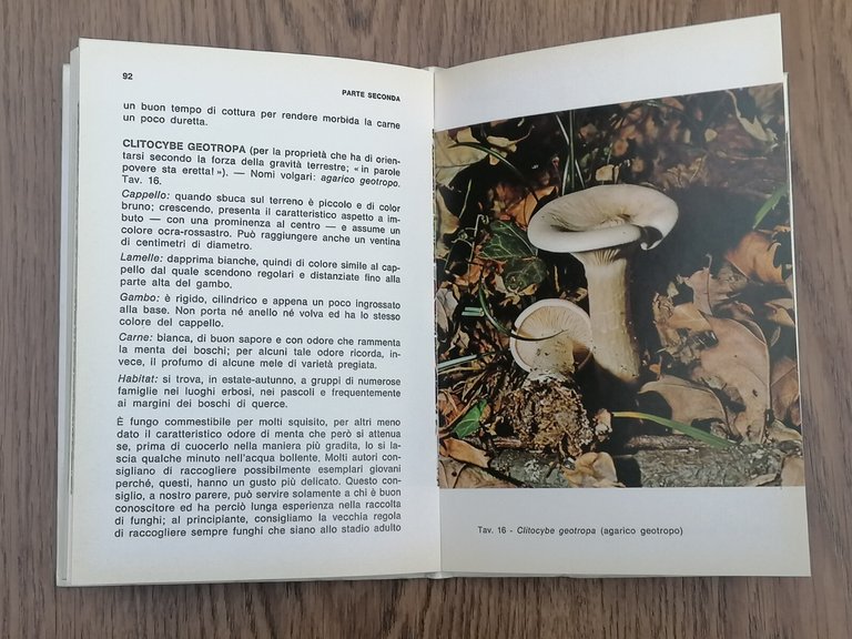 Funghi Eduli e Velenosi Come Distinguerli Ricette Libro Sportelli Hoepli …