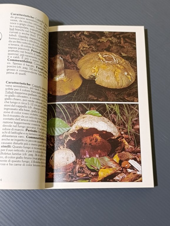 Funghi. I più importanti funghi commestibili e velenosi