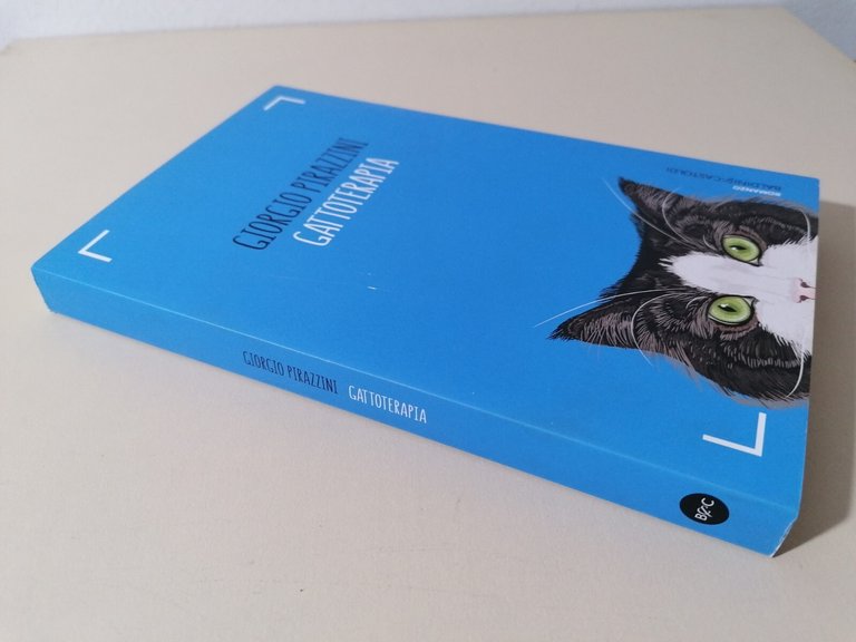 Gattoterapia