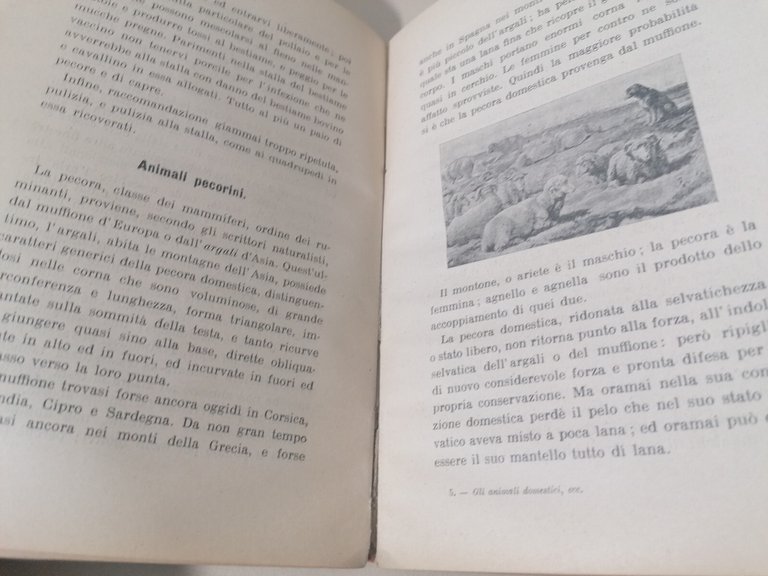 Gli Animali Domestici e Addomesticati - Manuale Popolare