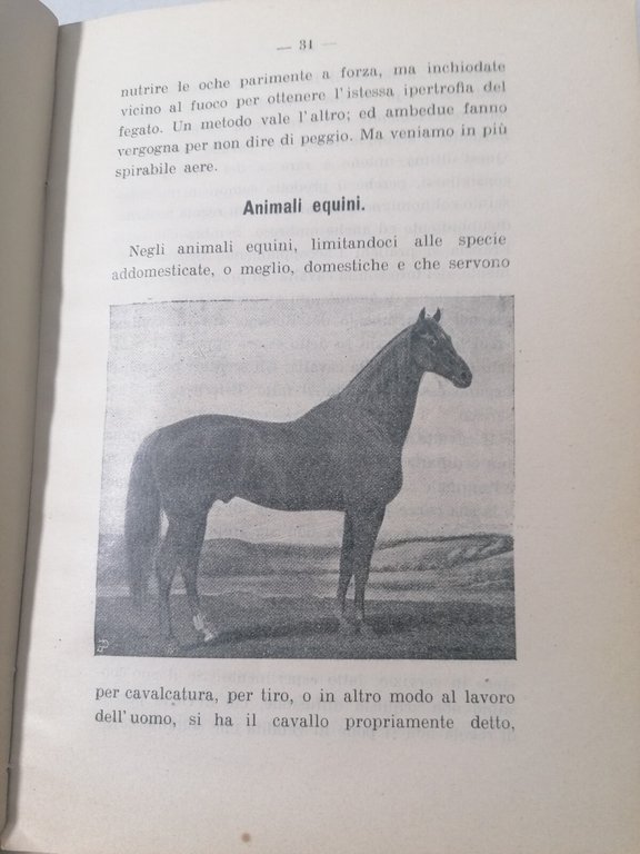 Gli Animali Domestici e Addomesticati - Manuale Popolare