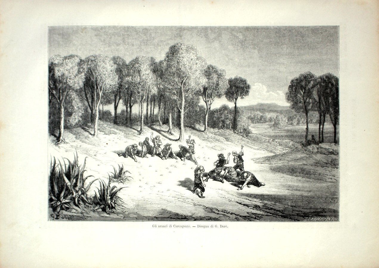 Gli aranci di Carcagente. Stampa 1864 | Immagine principale