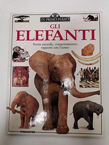 Gli elefanti | Immagine principale