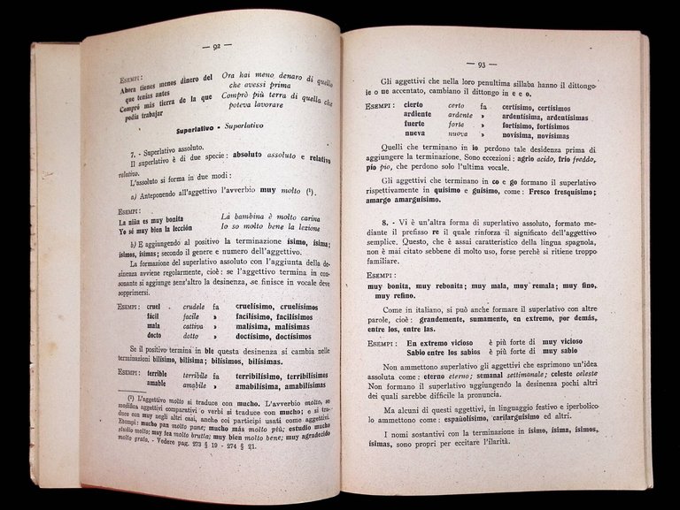 Grammatica della lingua spagnola