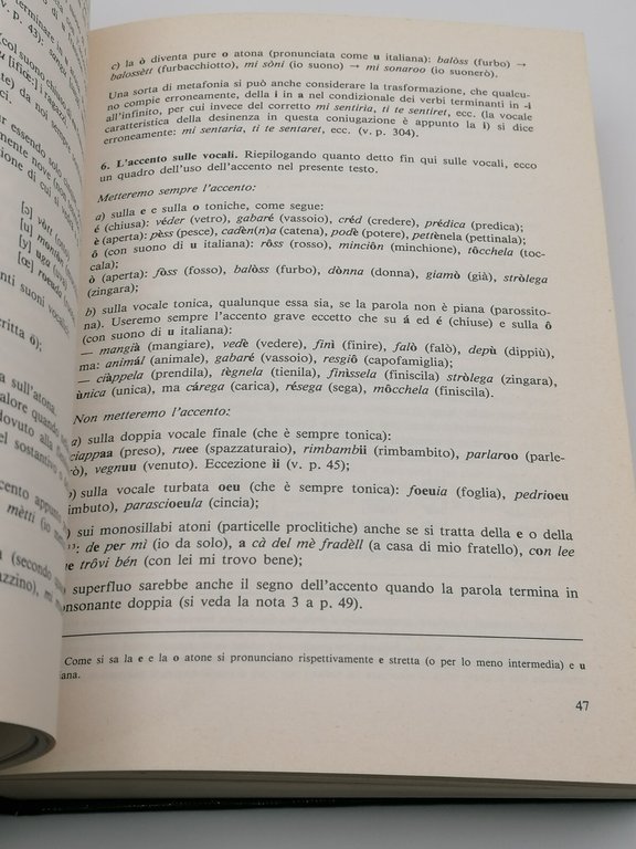 Grammatica Milanese Libro Franco Nicoli Bramante Metrica Versioni Lombarde 1983