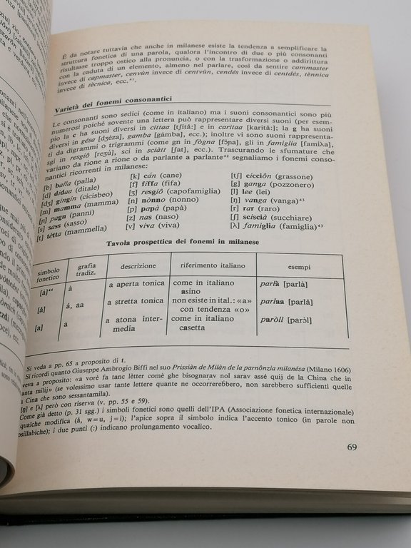 Grammatica Milanese Libro Franco Nicoli Bramante Metrica Versioni Lombarde 1983