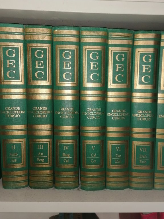 Grande Enciclopedia Curcio 16 Volumi GEC Cultura Universale 170000 Voci …