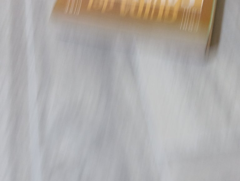 Guida del Cavaliere 1984-1985