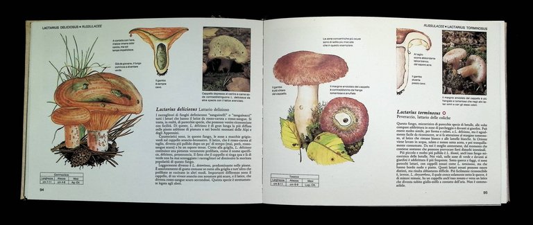 Guida pratica ai funghi in Italia. Selezione dal Reader's digest