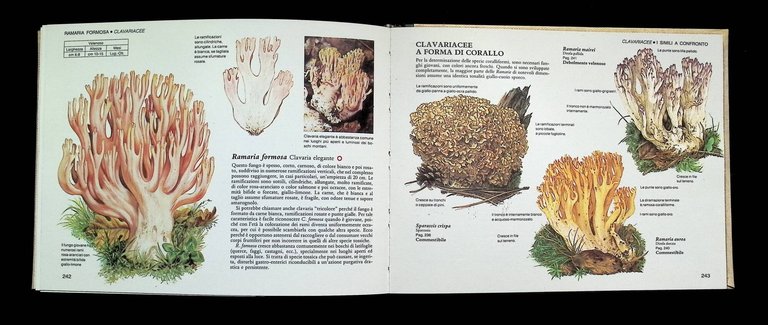 Guida pratica ai funghi in Italia. Selezione dal Reader's digest