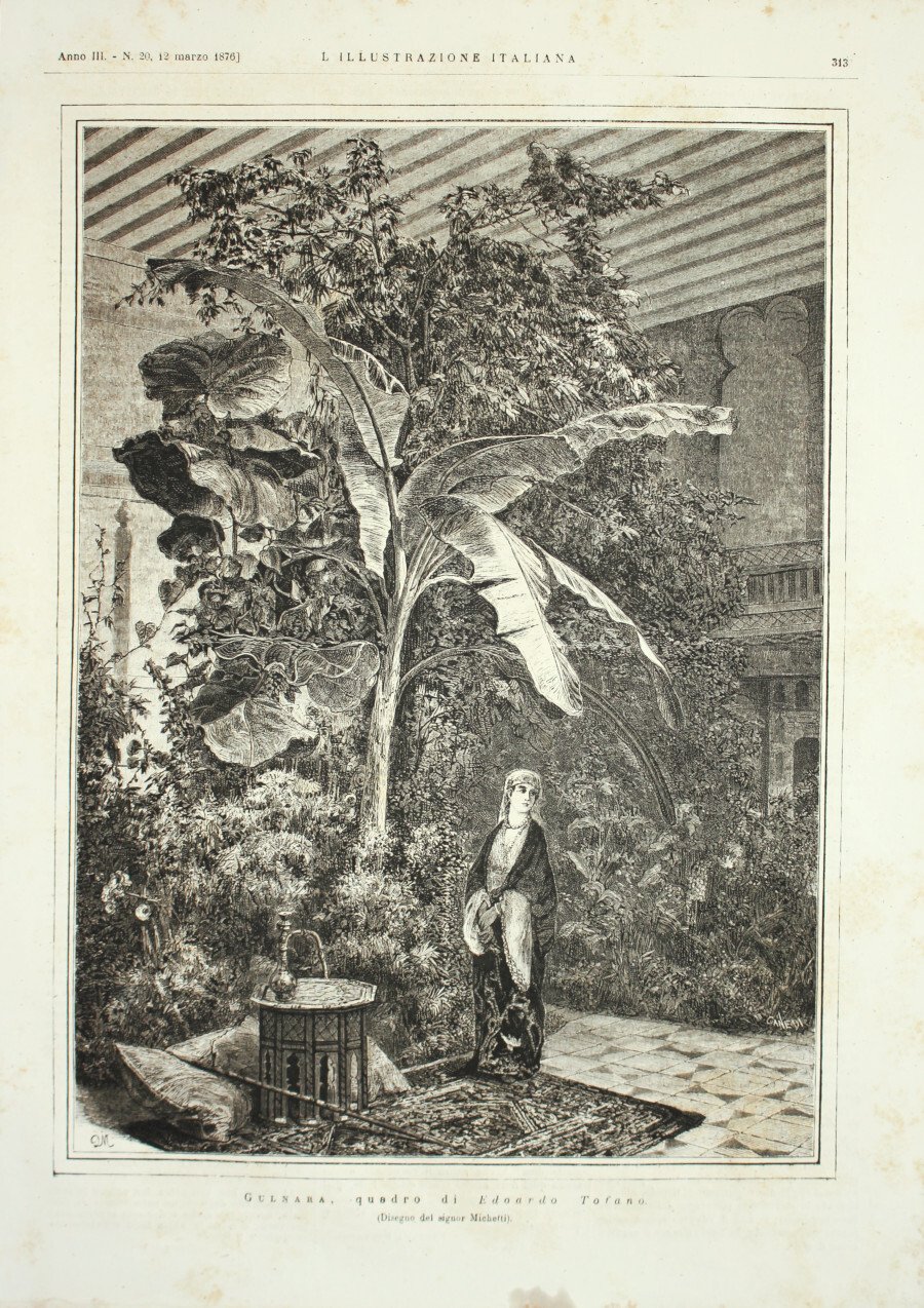 Gulnara, quadro di Edoardo Tofano. Stampa 1876 | Immagine principale