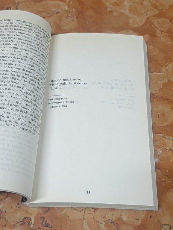 Haiku. Il fiore della poesia giapponese da Basho all'ottocento | Immagine Gallery 10