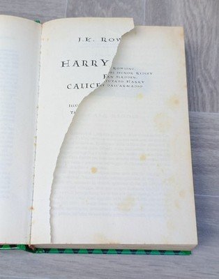 Harry Potter e il calice di fuoco | Immagine Gallery 7
