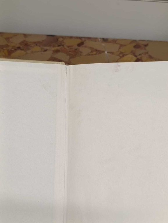 Harry Potter e la pietra filosofale. 20 Anni di Magia | Immagine Gallery 8