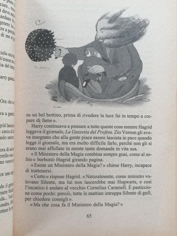 Harry Potter e la pietra filosofale