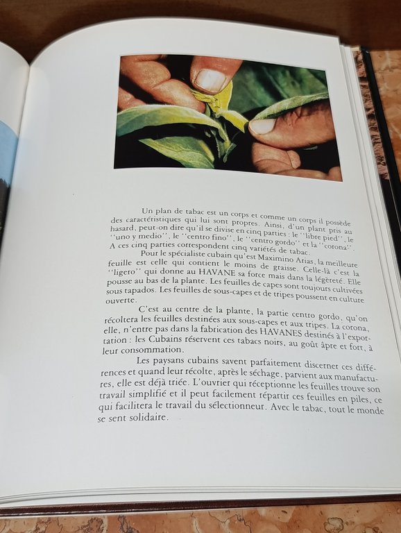 Histoire du Havane | Immagine Gallery 7
