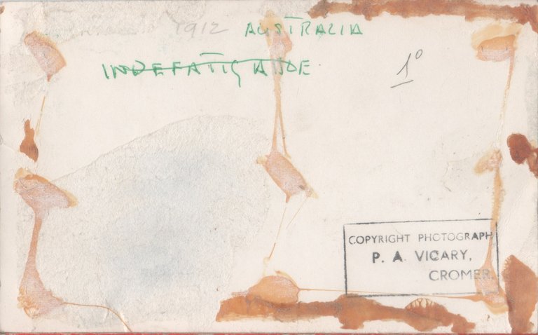 HMAS Australia (1911). Photo | Immagine Gallery 2