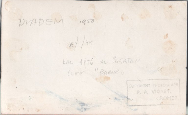 HMS Diadem (84). Photo | Immagine Gallery 2