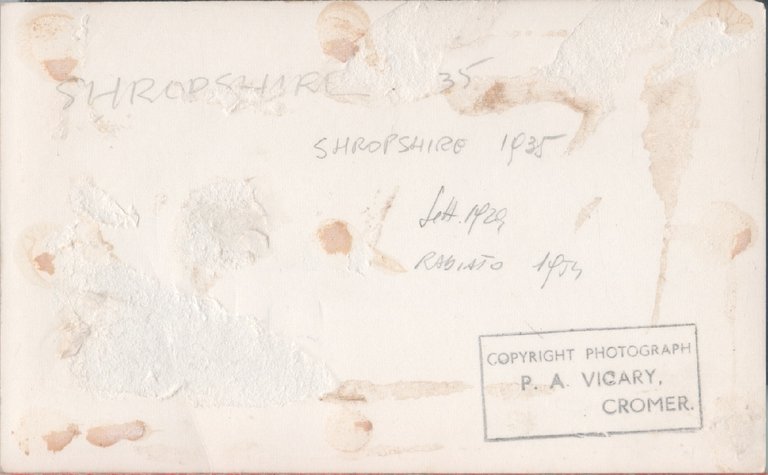 HMS Shropshire (73). Photo | Immagine Gallery 2