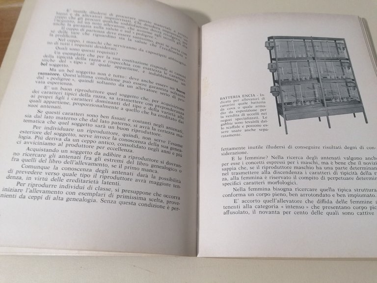 I Canarini - Giuseppe Vaccari, Libro Encia 1974 Serinus Canarius …