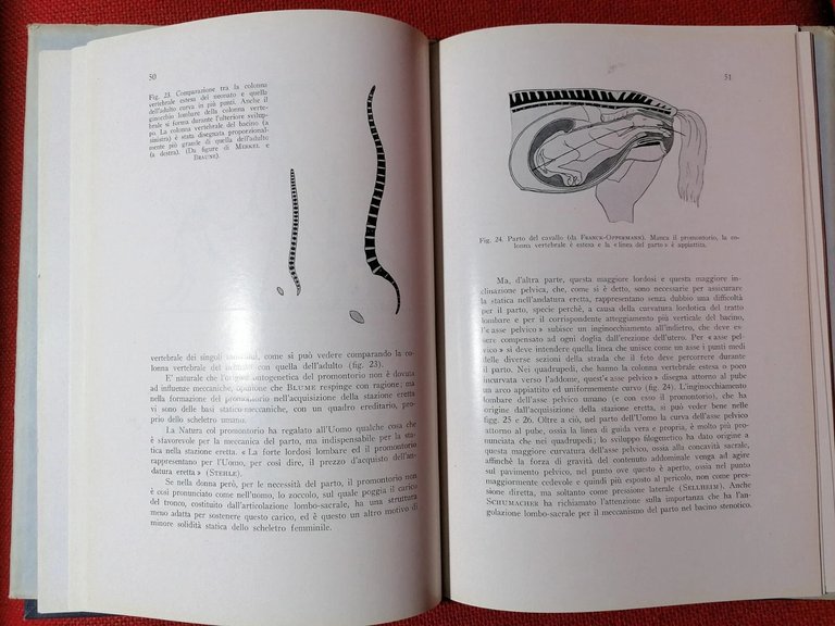 I Dolori Sacrali Della Donna - Libro Heinrich Martius Abruzzini …