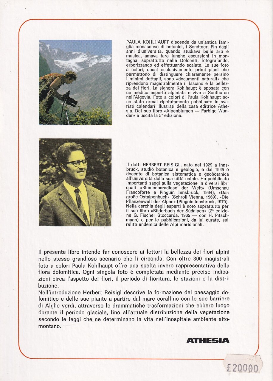 I Fiori Delle Dolomiti | Immagine principale