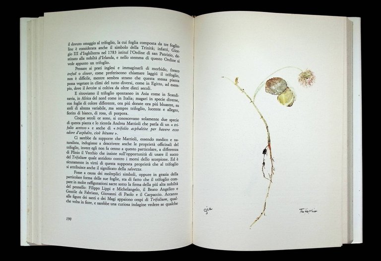 I Fiori Raccontano. Con l'Erbario di Gia e il Vocabolario … | Immagine Gallery 6