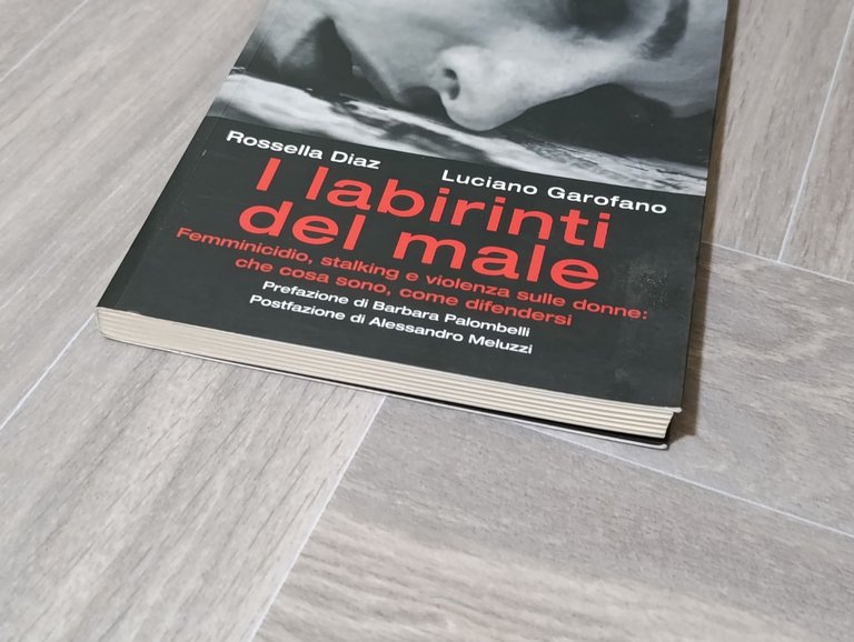I labirinti del male. Femminicidio, stalking e violenza sulle donne …