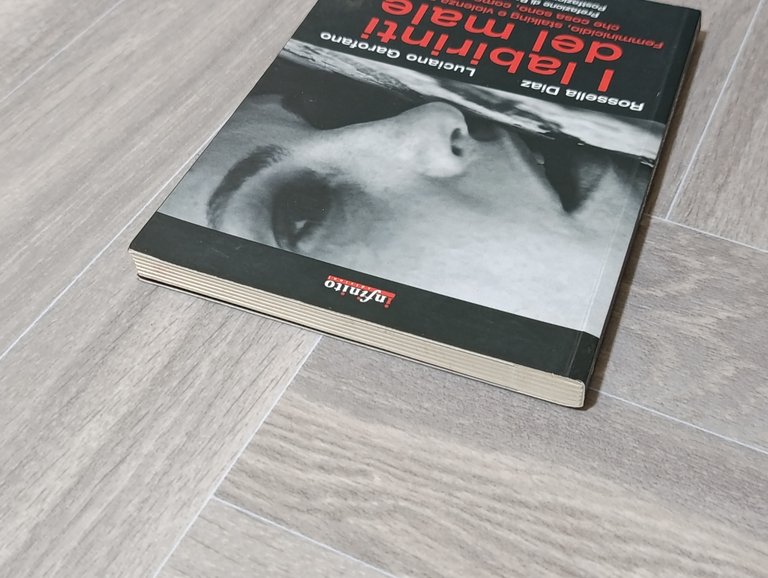 I labirinti del male. Femminicidio, stalking e violenza sulle donne …