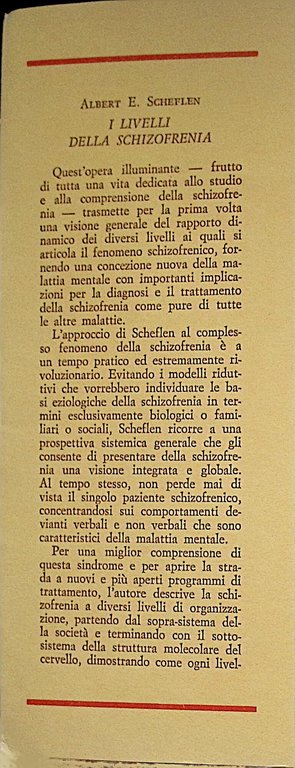 I livelli della schizofrenia | Immagine Gallery 2