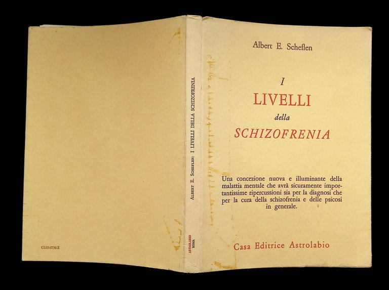 I livelli della schizofrenia | Immagine Gallery 8