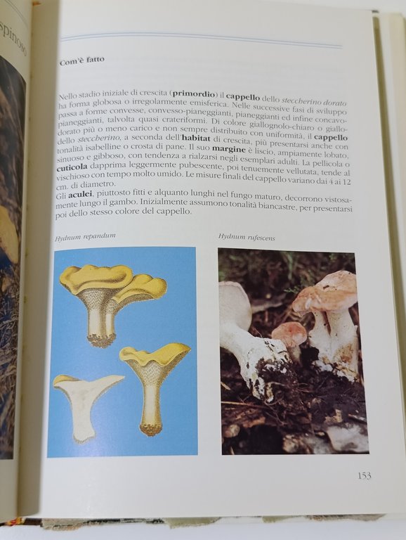 I miei funghi : come sono, dove si trovano, come …